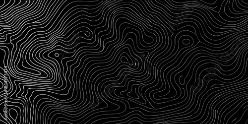 Intricate black and white pattern featuring flowing organic lines and contours