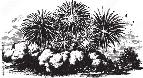 Vintage fireworks exploding in the black and white sky. This vector illustration showcases a dramatic display, ideal for celebrations and events.