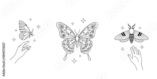 Mystical Butterfly and Moth Illustration Set with Hands and Sparkles in Minimal Boho Line Art Vector Style