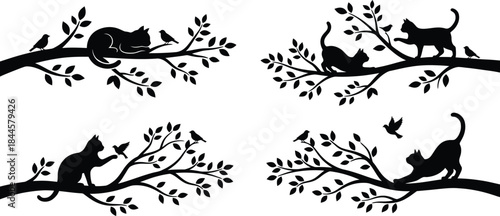 Silhouettes of cats and birds on tree branches