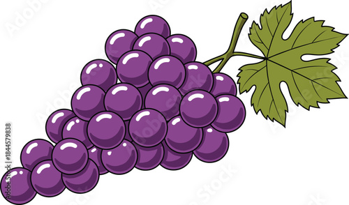 Purple grapes illustration, cartoon fruit, green leaf, stylized bunch, shiny grapes, vector art, food icon, healthy snack, fruity design, vine leaf detail,