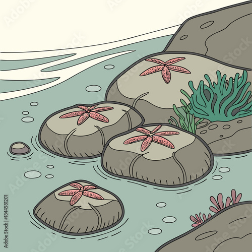 A charming illustration depicts several pink starfish resting on smooth grey rocks partially submerged in calm shallow water with gentle waves in the background and aquatic plants