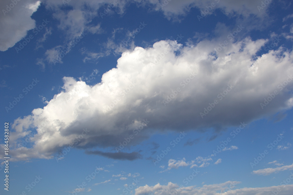 Obraz premium Fluffy White Cumulus Cloud Drifting Across Blue Sky