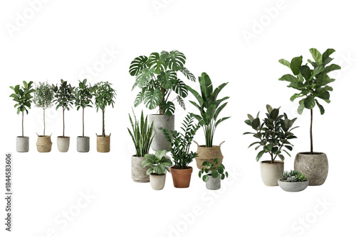 A diverse collection of potted green plants showcasing various species and container styles