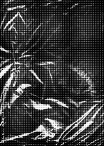 Large vector halftone plastic texture with a transparent background