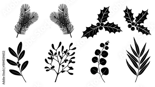 Elegant Christmas Botanical Foliage Silhouette Vector Collection