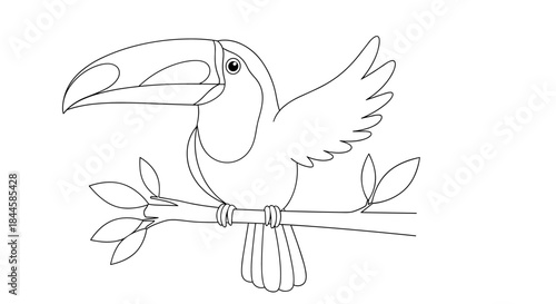 Toucan Bird Sitting on a Branch Line Art.
