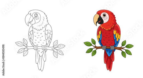 Colorful Macaw Parrot Perched on a Branch Coloring Page.