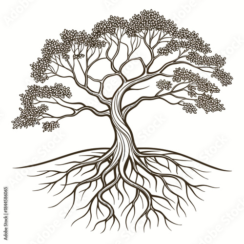 Stylized line art illustration of a mature tree with intricate branches and a prominent sprawling root system against a clean white background
