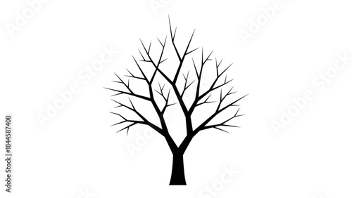 Minimalist black silhouette of a bare tree with intricate branches on a white background