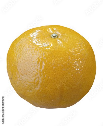 Fresh Orange Citrus Fruit Isolated on White