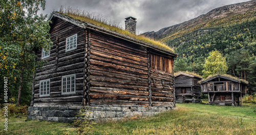 traditional old wooden house in Norway with grass on the roof
