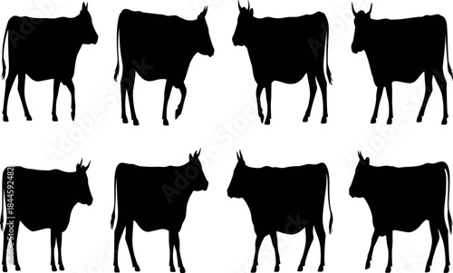 Black vector silhouettes of cattle, including cows, calves, and bulls, illustrate isolated farm livestock on a white background