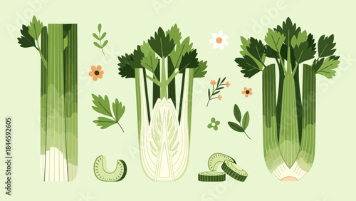 Stylized illustration of celery stalks with surrounding greens and flowers for