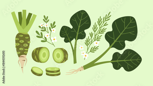 Stylized Illustrations of Leafy Vegetables and Plant Elements in Soft Green