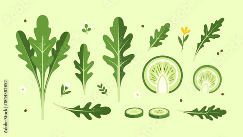 Assorted fresh green leafy vegetables and cucumber slices on light green