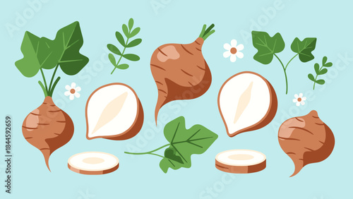 Illustration of Taro Roots Leaves and Slices with Decorative Elements