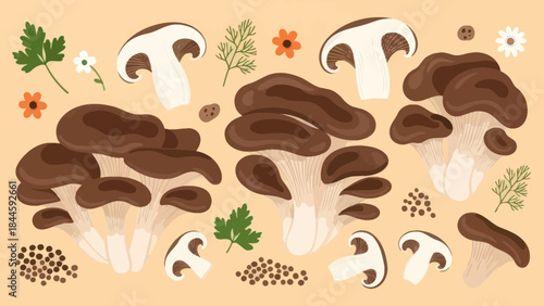 Illustration of assorted brown and white mushroom varieties with herbs and