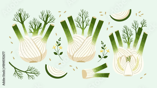 Abstract illustration of green onion bulbs with sprouting green leaves in