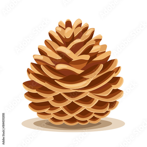 Christmas pine or fir brown cone, stylish hand drawn illustration.