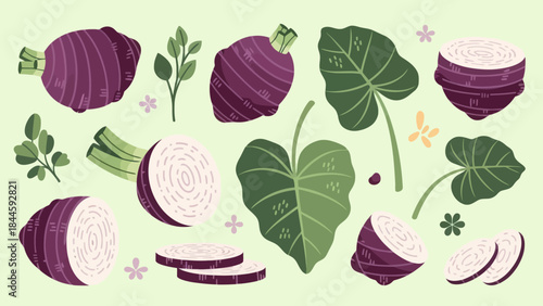 Stylized Illustration of Eggplants and Green Leaves with Floral Accents for