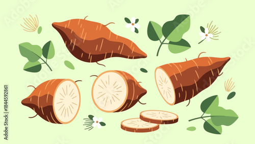 Illustration of Fresh Yam Tubers with Green Leaves and Small Flowers on Light
