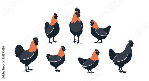 Group of Seven Roosters and Hens Standing in Formation with Black and Orange Plumage