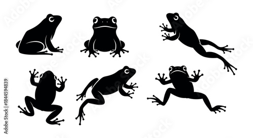 Collection of Silhouettes of Frogs in Various Poses on a White Background