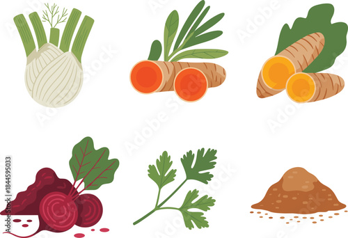 Vibrant Vector Illustration Set of Whole and Sliced Roots, Herbs, and Spices, Including Fennel Bulb, Turmeric, Beets, and Parsley, Ideal for Health, Food, and Organic Design.