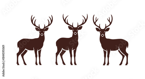 Three Majestic Deer Standing Side by Side on a White Background, Symbolizing Nature and Wildlife