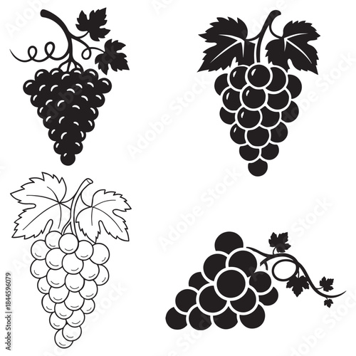 Set of grapes fruit bunches and leaves in various drawing styles vector