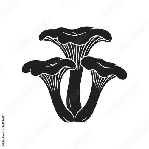 Three wild chanterelle mushroom cluster edible forest food vector icon