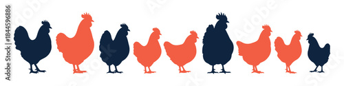 A colorful collection of chicken silhouettes in various sizes and poses, perfect for farm-themed designs and agricultural branding