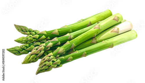 Close-up of fresh, vibrant green asparagus spears on a dark, isolated background