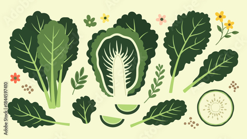 Fresh and Healthy Leafy Greens and Vegetables Illustration for Nutrition