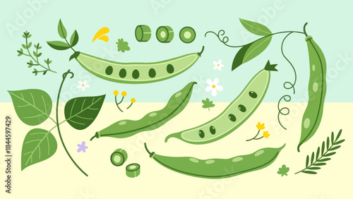 Whimsical Illustration of Peas and Green Vegetables with Plants and Flowers