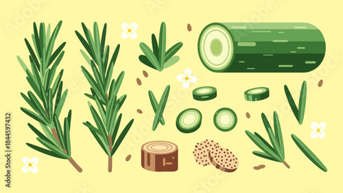 Illustration of fresh green herbs and vegetable slices with a large cucumber