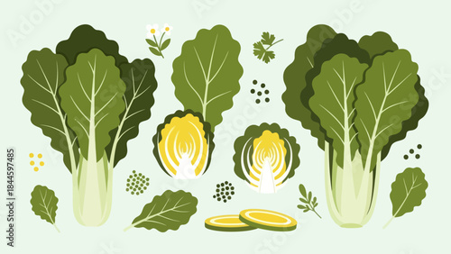Illustration of fresh crisp lettuce and leafy greens for healthy salads