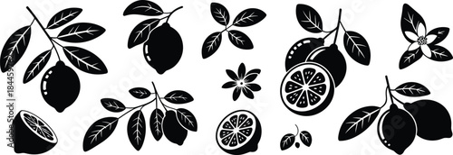 Black lemon silhouettes vector icons collection, including whole lemons, sliced halves, branches with leaves, and citrus blossoms for food and drink design.