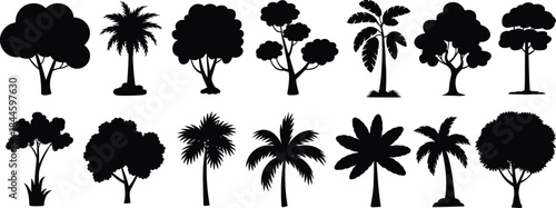 Large set of diverse tropical and deciduous tree silhouettes, black vector icons collection including palms for nature, park, and landscape design.