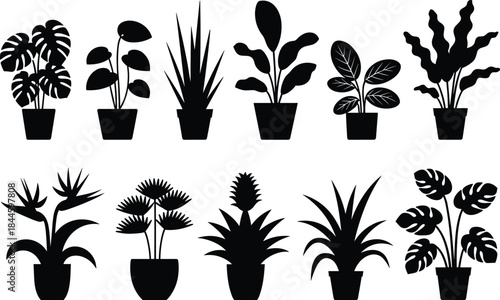 A diverse collection of tropical house plants in pots, black silhouette vector icons for home decor and indoor garden design elements, easy to use clip art.