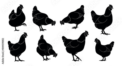 Dynamic bird silhouettes collection, illustrating various flight stages and perching poses, symbolizing avian freedom and natural beauty for versatile graphic design projects