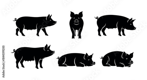 Collection of Diverse Pig Silhouettes in Various Poses for Graphic Design and Educational Purposes