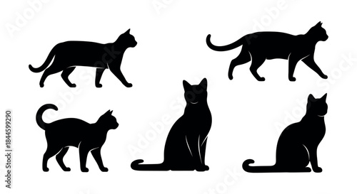 Versatile Black Cat Silhouette Concept Set Dynamic Vector Illustrations of Felines in Walking, Standing, and Sitting Poses for Creative Design Projects and Animal Graphics