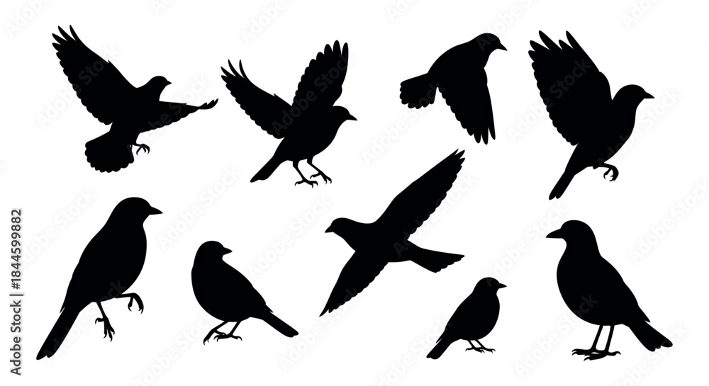 Fototapeta premium Collection of diverse bird silhouettes in various poses, from graceful flight to calm perching, beautifully illustrating the natural freedom and serene elegance of avian wildlife for creative projects