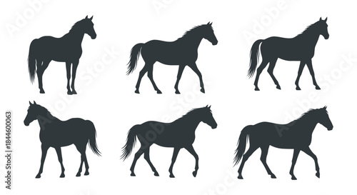 Silhouettes of a Horse in Various Poses, Ideal for Equestrian and Animal Themed Designs