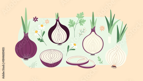 Stylized Illustration of Onion Varieties and Fresh Produce Arranged in a