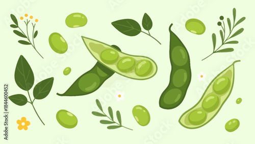 Fresh Green Peas in Pods and Leaves with Botanical Elements Illustration