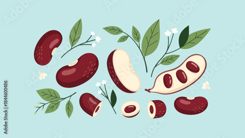 Illustration of various beans and green leafy elements arranged artfully on a