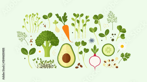 Assorted fresh vegetables and fruits including broccoli carrot avocado